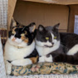 Meet your Posher, Reuben